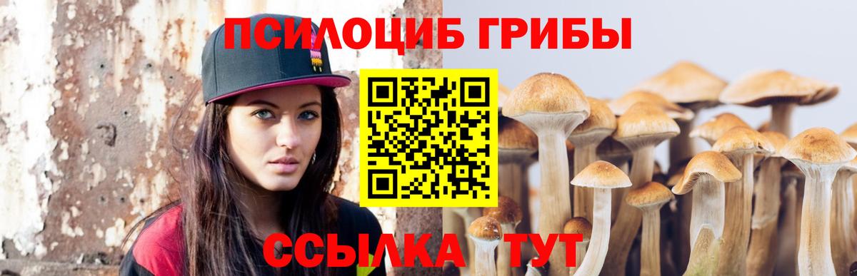 Галлюциногенные грибы GOLDEN TEACHER Шебекино